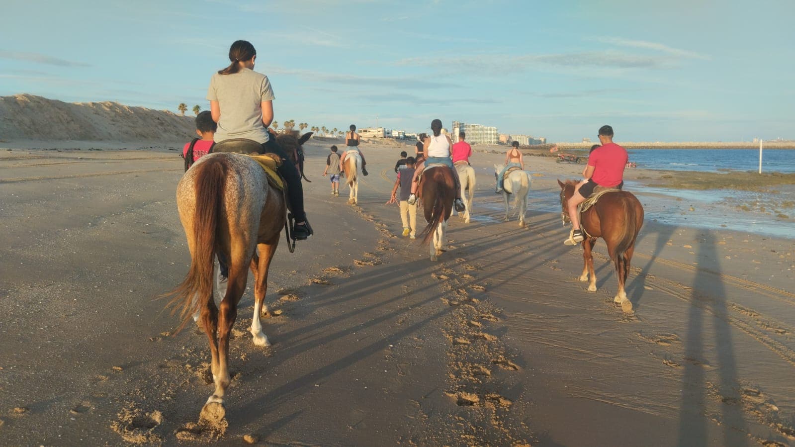 Horseback Riding